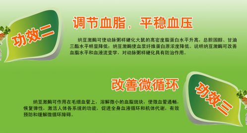華以納豆銀杏片保健食品OEM代加工廠家招商，共創健康產業新機遇